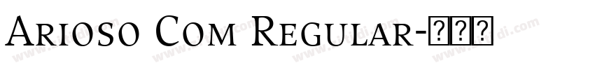 Arioso Com Regular字体转换